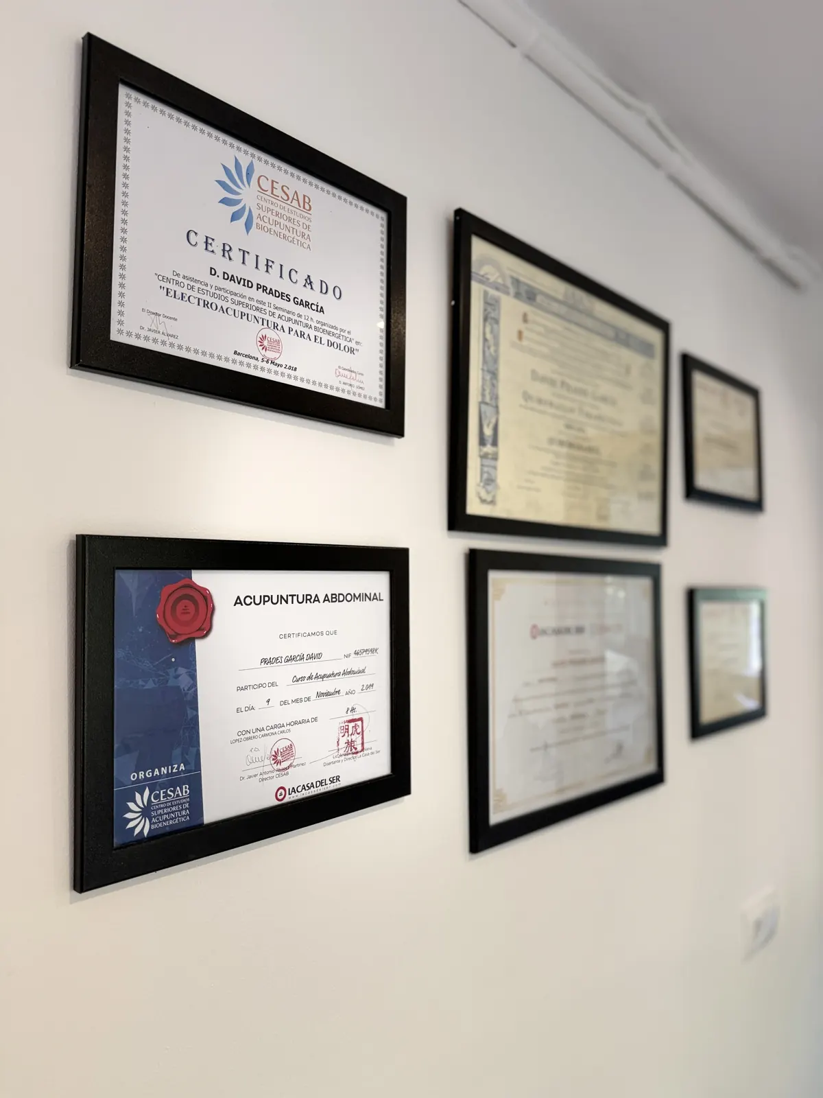 Titulaciones y certificados de formación de David Prades