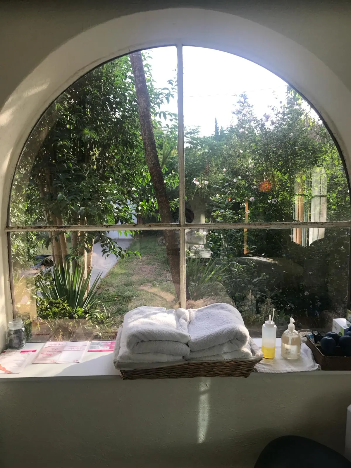 Ventana con arco de la consulta de David Prades en Valldoreix, con vistas al jardín
